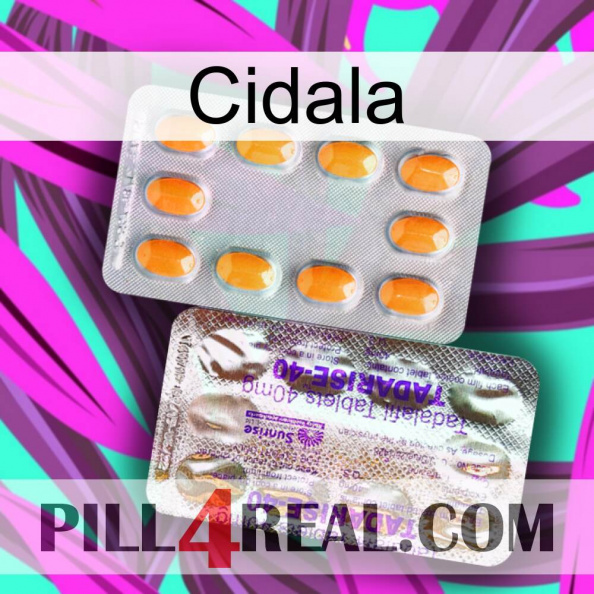 Cidala new12.jpg